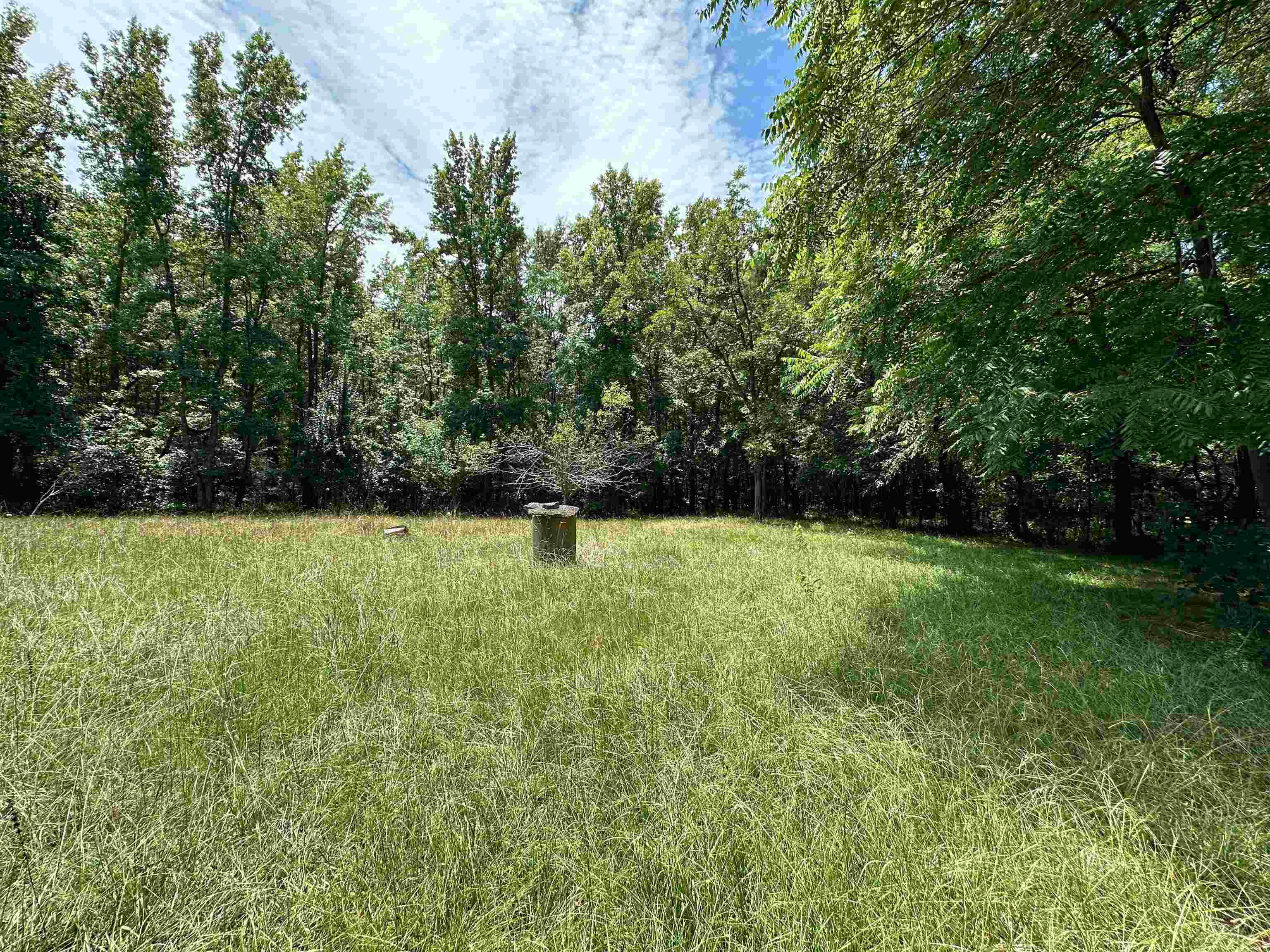 5657 Springfield Road Property Photo 8