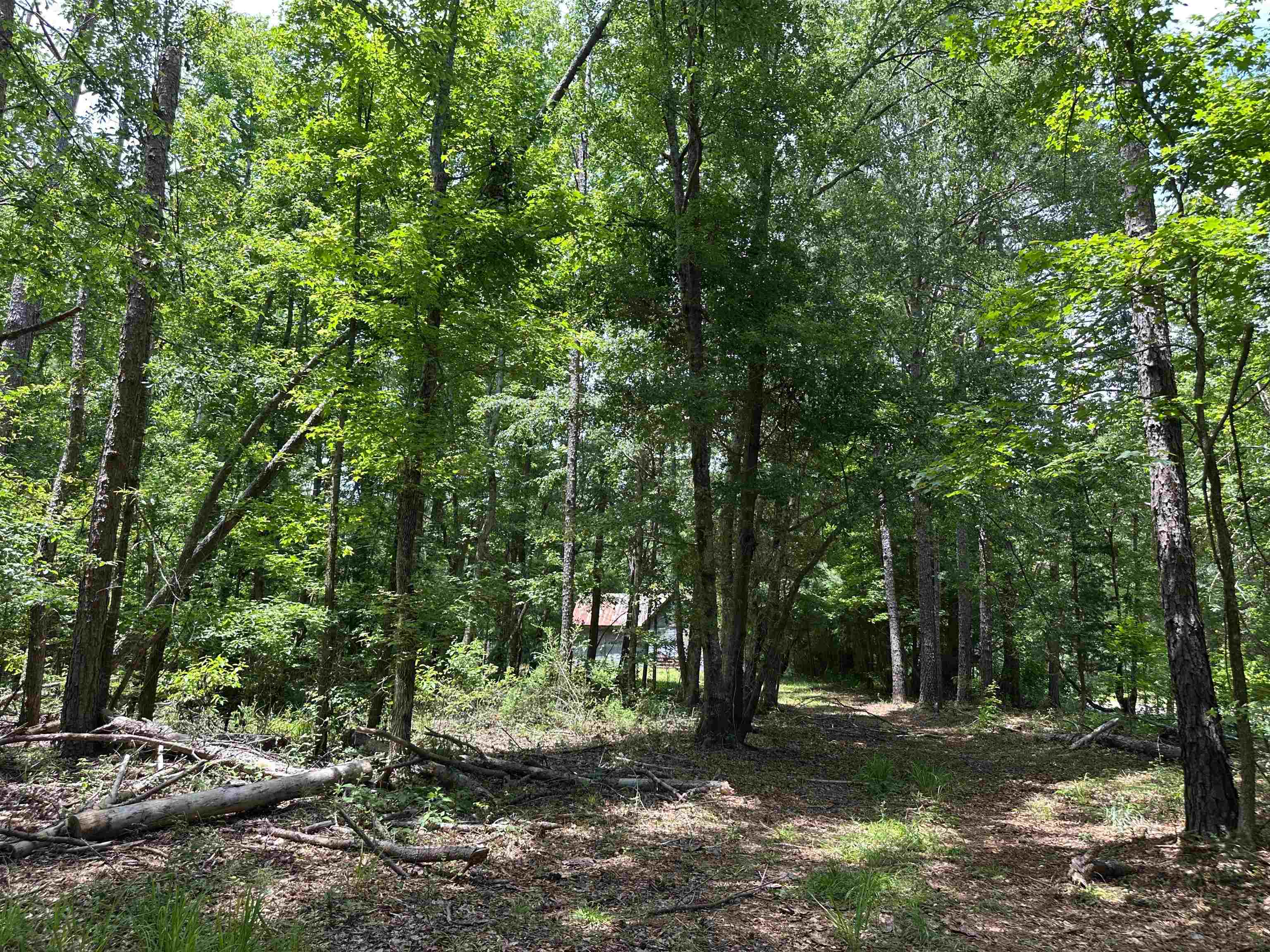 5657 Springfield Road Property Photo 17