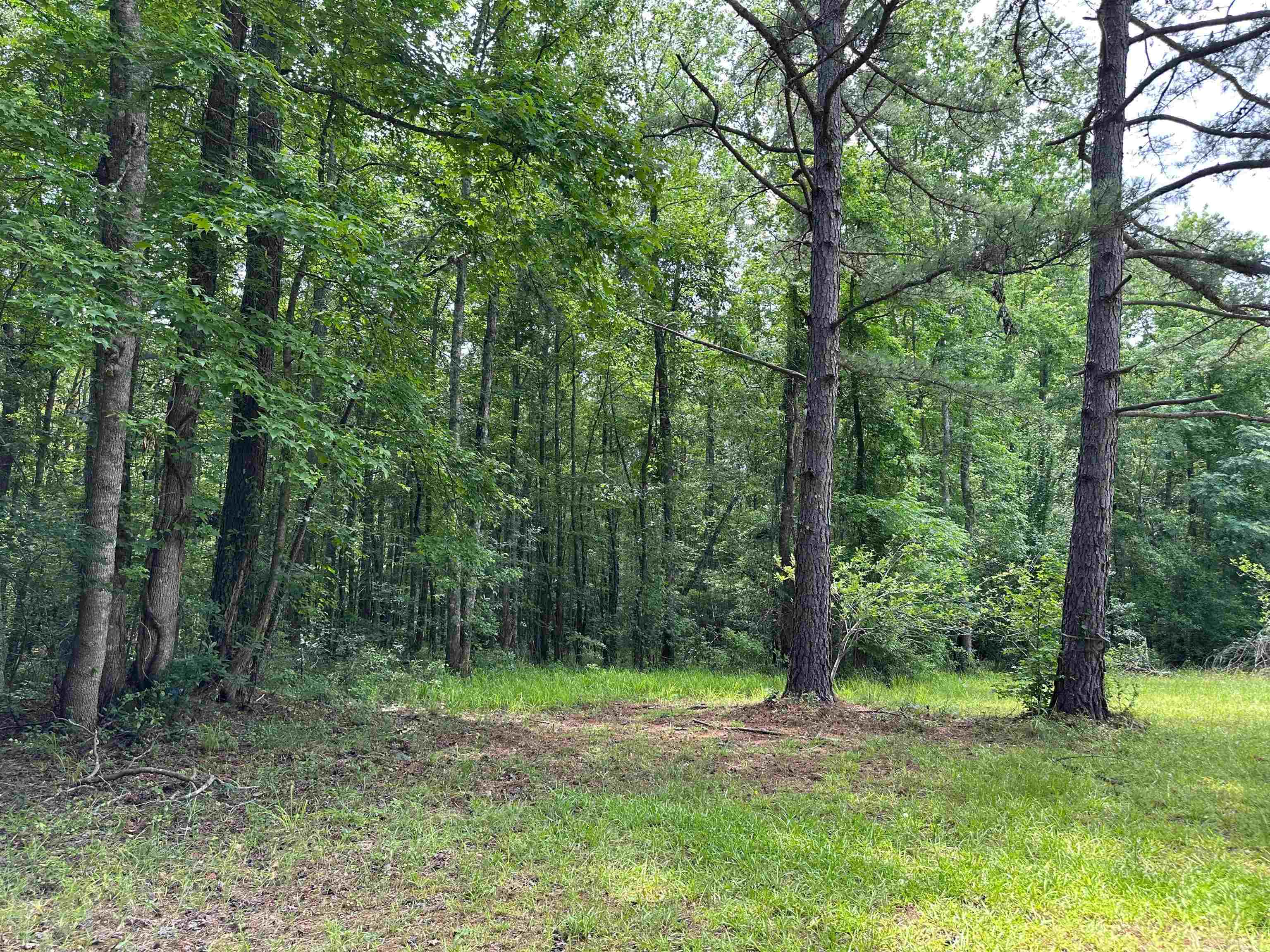 5657 Springfield Road Property Photo 19