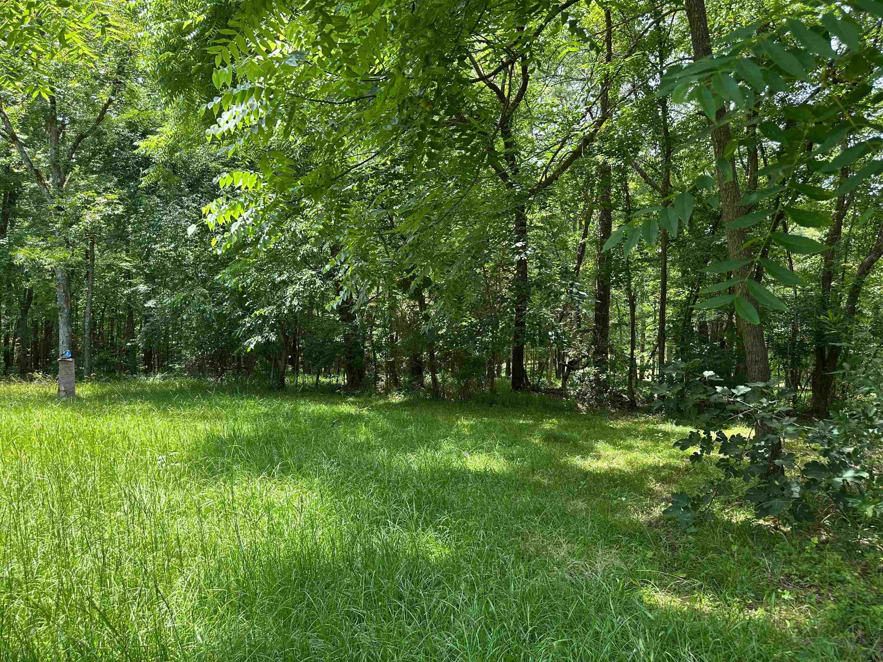 5657 Springfield Road Property Photo 20