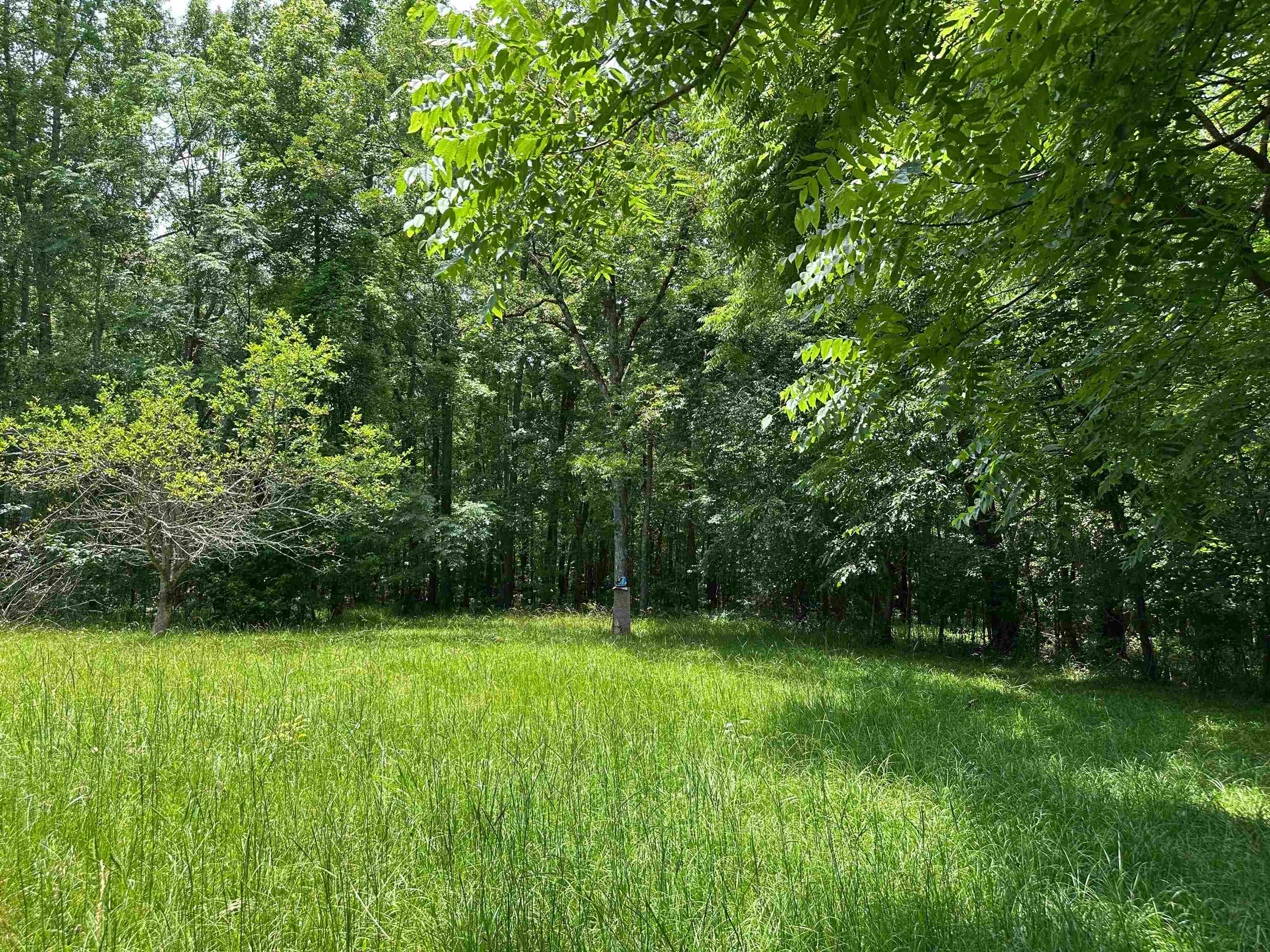 5657 Springfield Road Property Photo 21