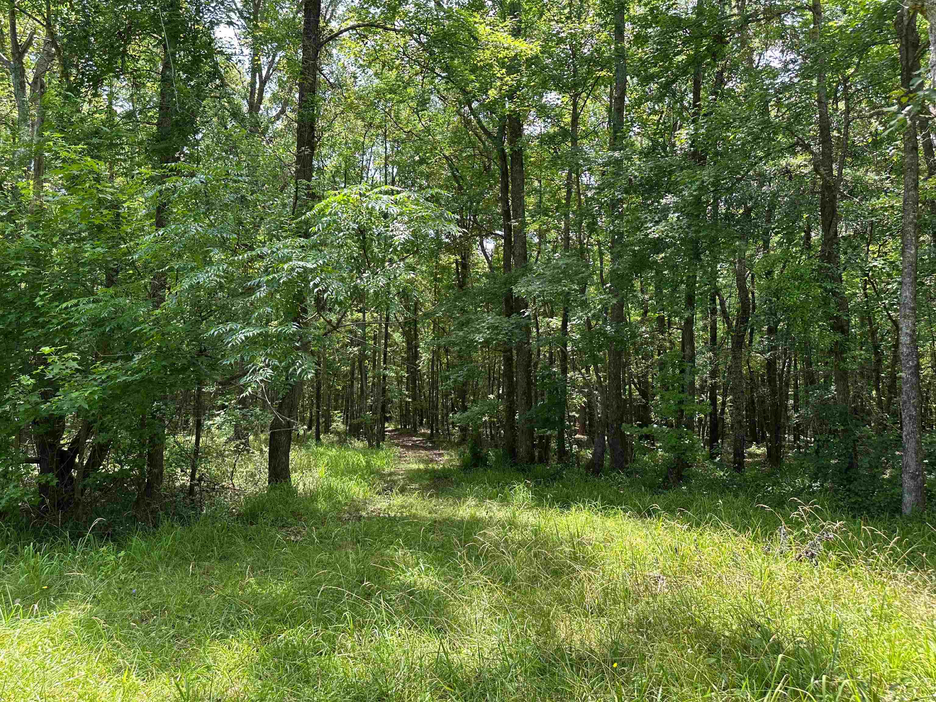 5657 Springfield Road Property Photo 22