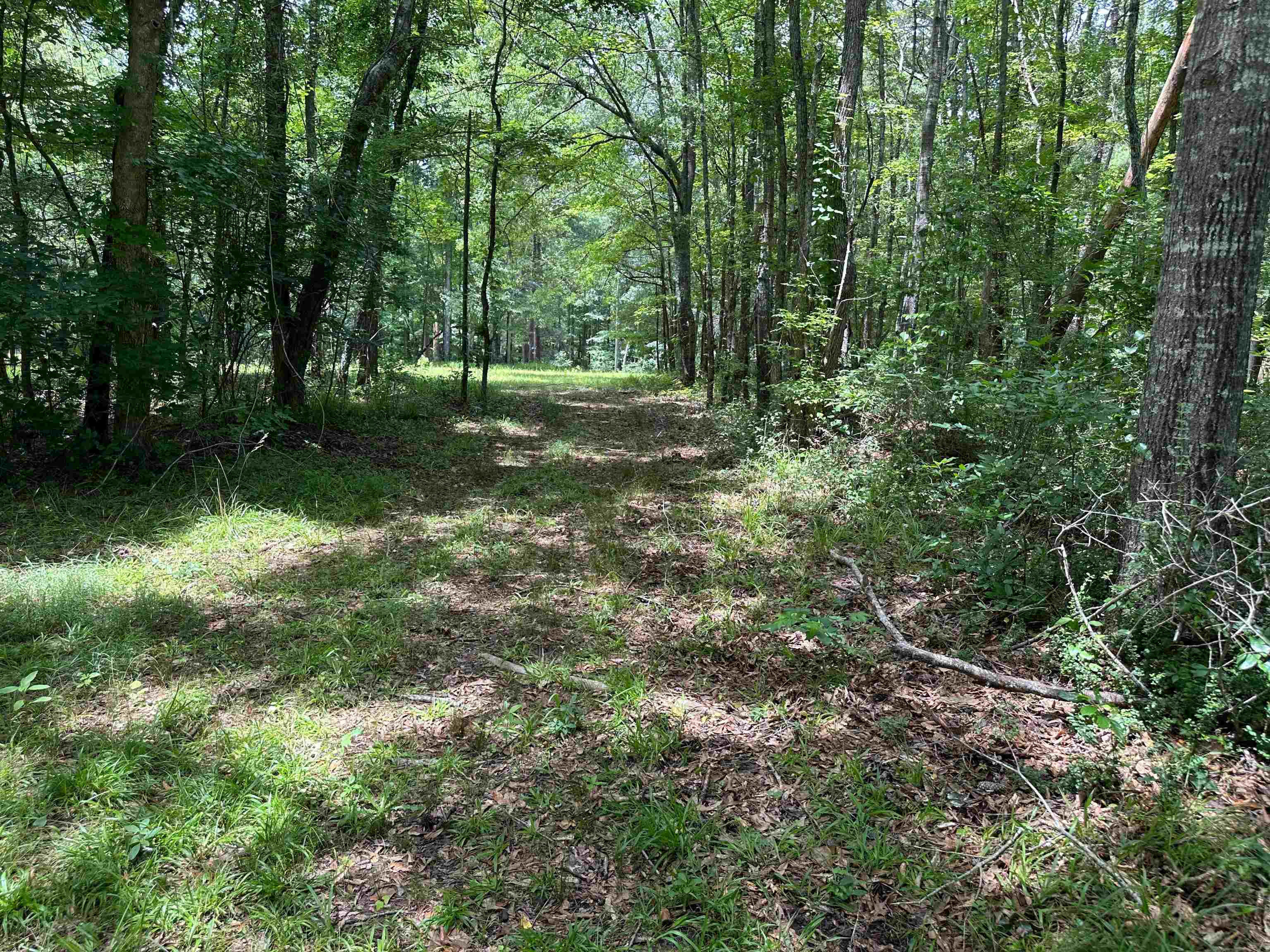 5657 Springfield Road Property Photo 23