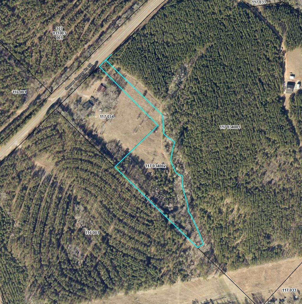 0 Oconee Springs Road Property Photo 1