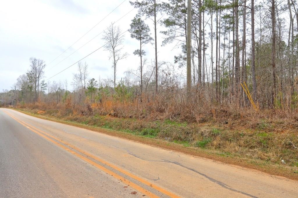 Lot 5 Cochran Road Property Photo 10