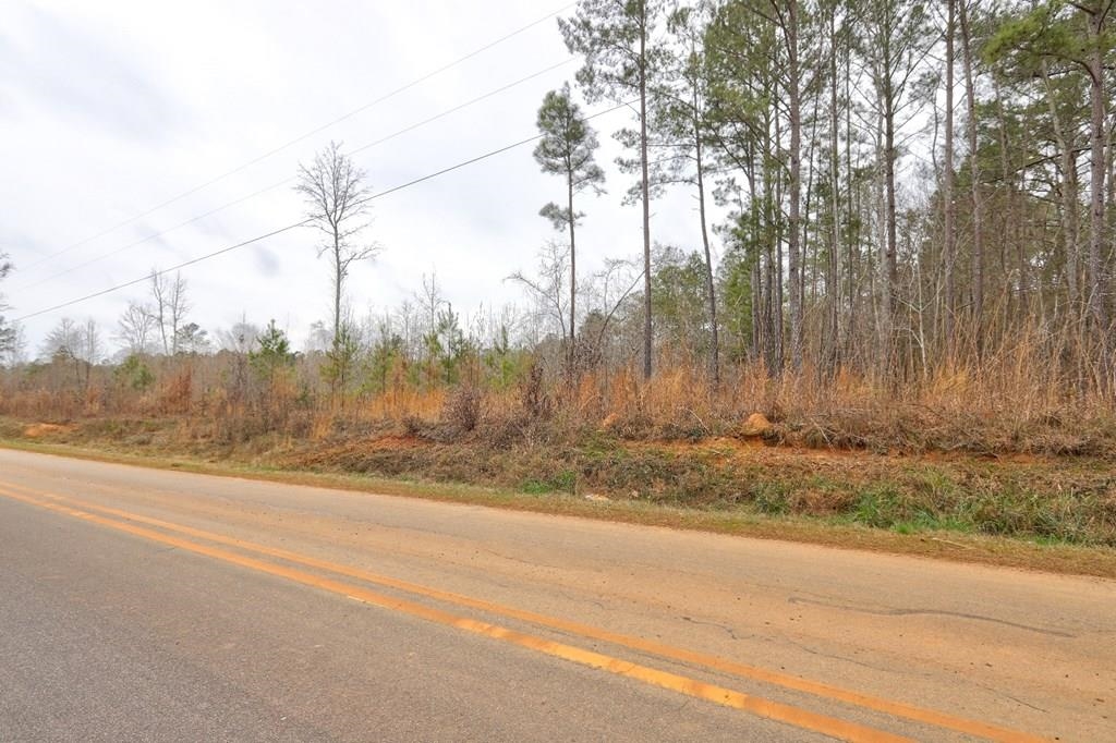 Lot 5 Cochran Road Property Photo 11