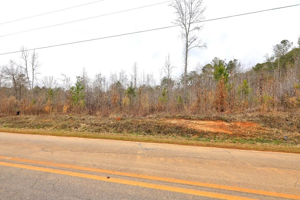 Lot 5 Cochran Road Property Photo 12