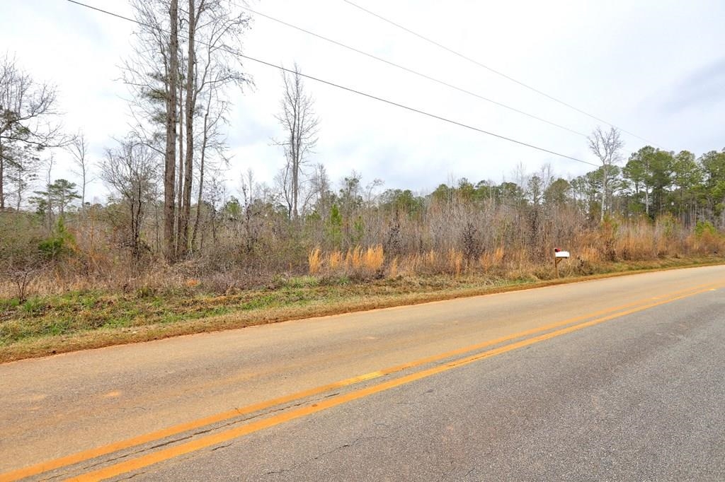 Lot 5 Cochran Road Property Photo 13