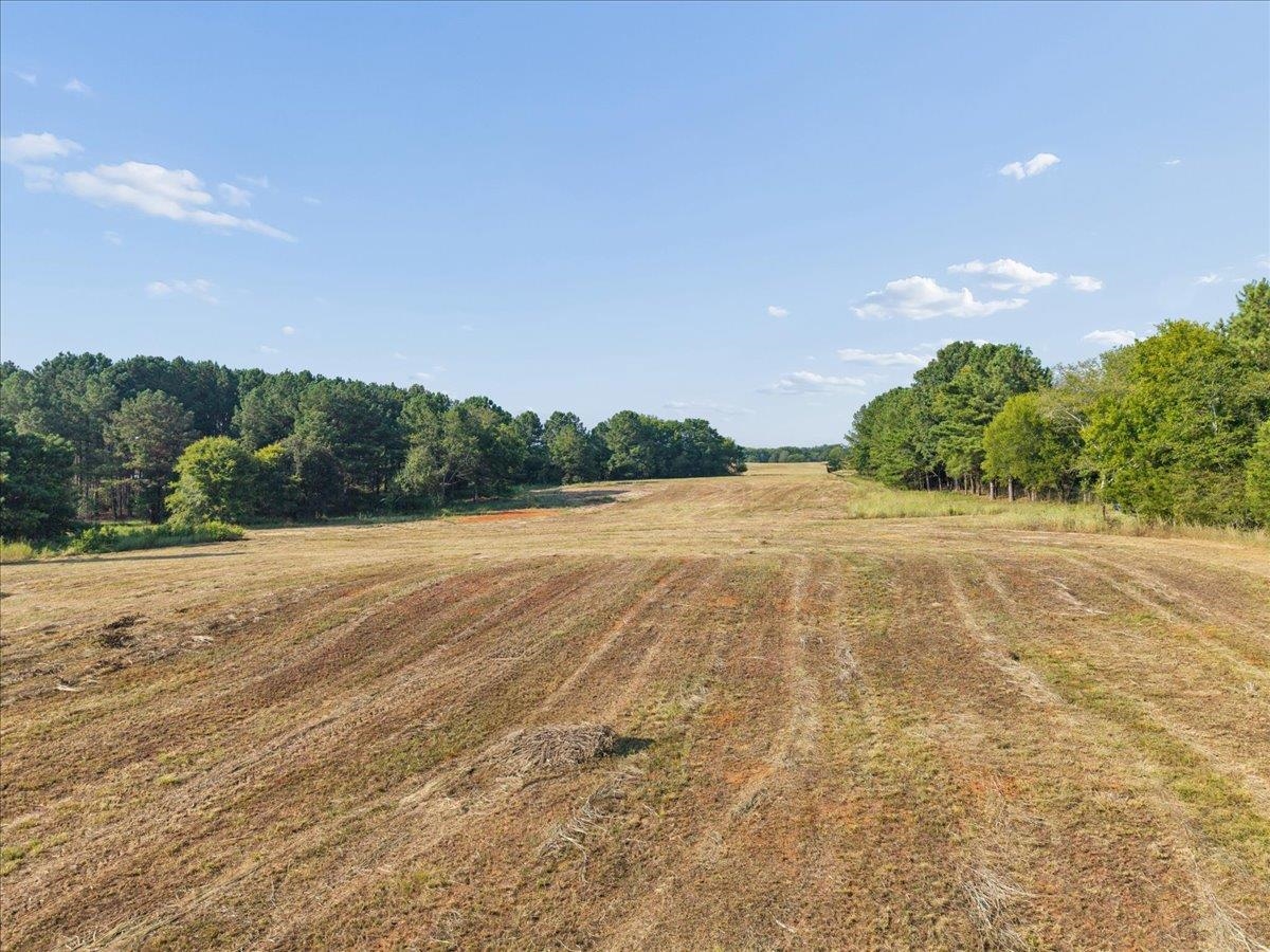 13.51 Acres Fieldcrest Lane Property Photo 11
