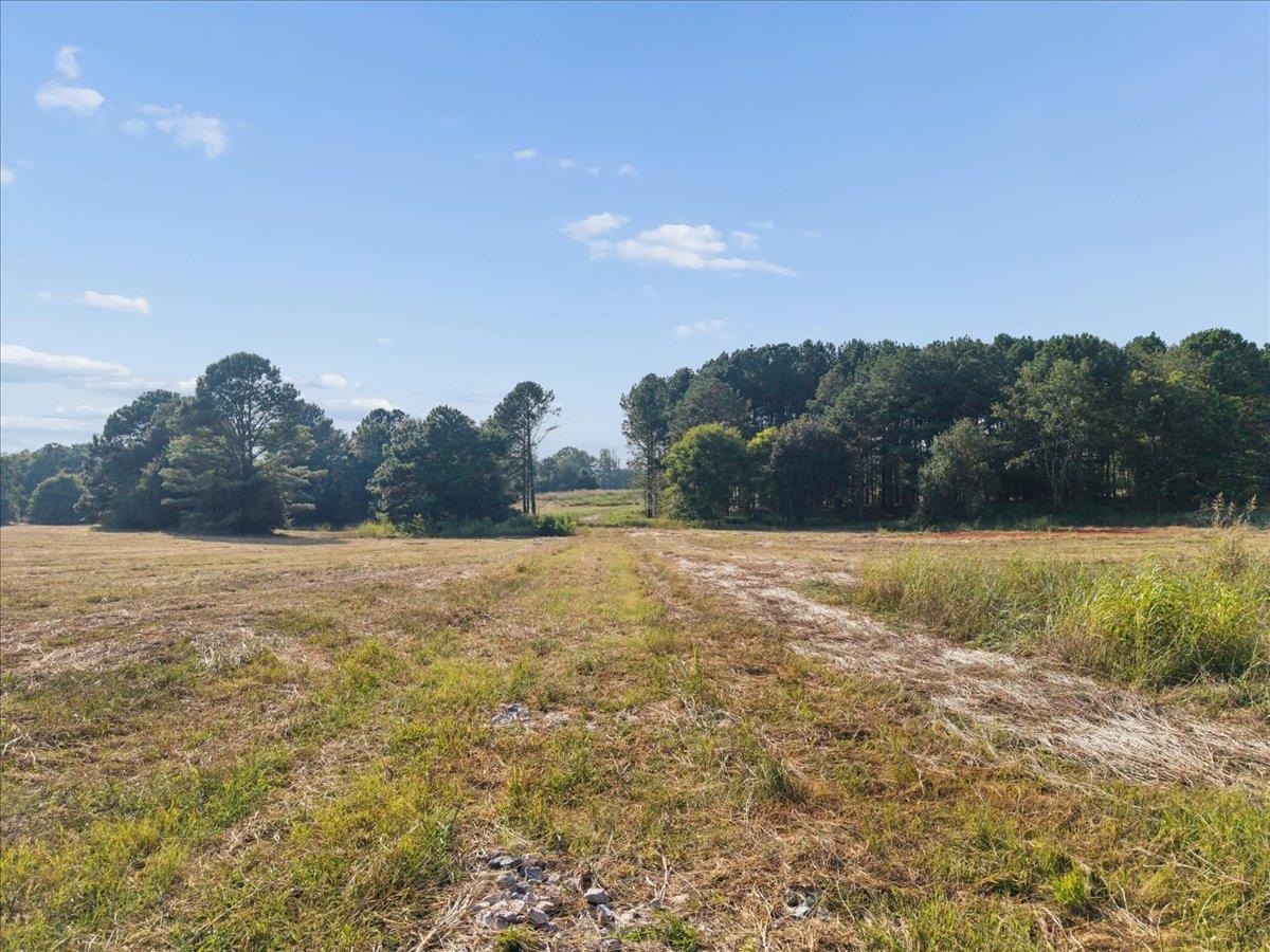 13.51 Acres Fieldcrest Lane Property Photo 12