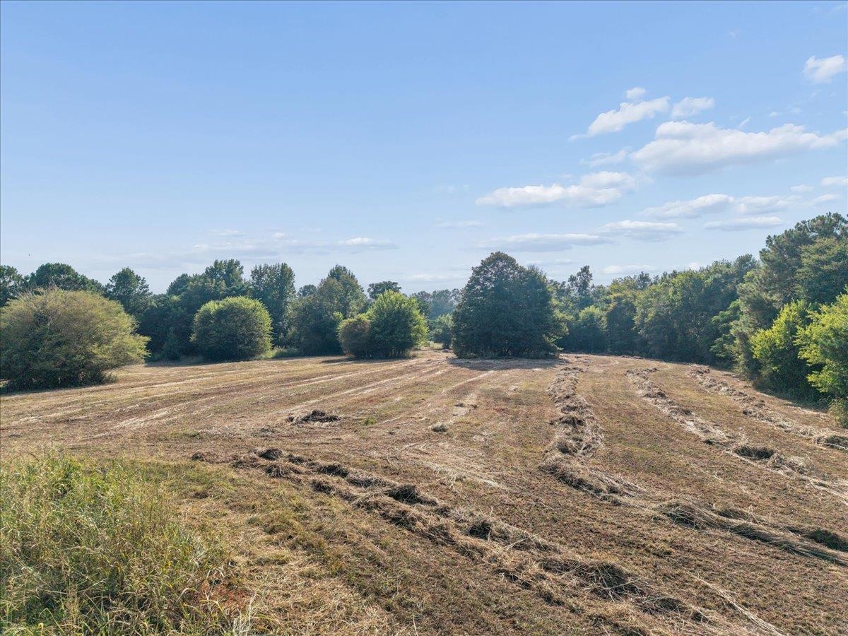13.51 Acres Fieldcrest Lane Property Photo 13