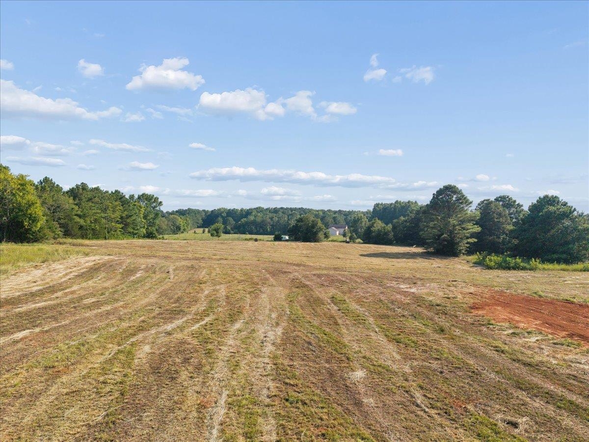 13.51 Acres Fieldcrest Lane Property Photo 15