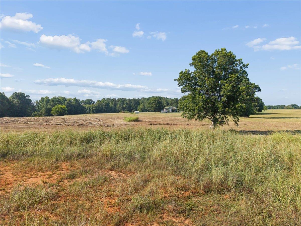 13.51 Acres Fieldcrest Lane Property Photo 18