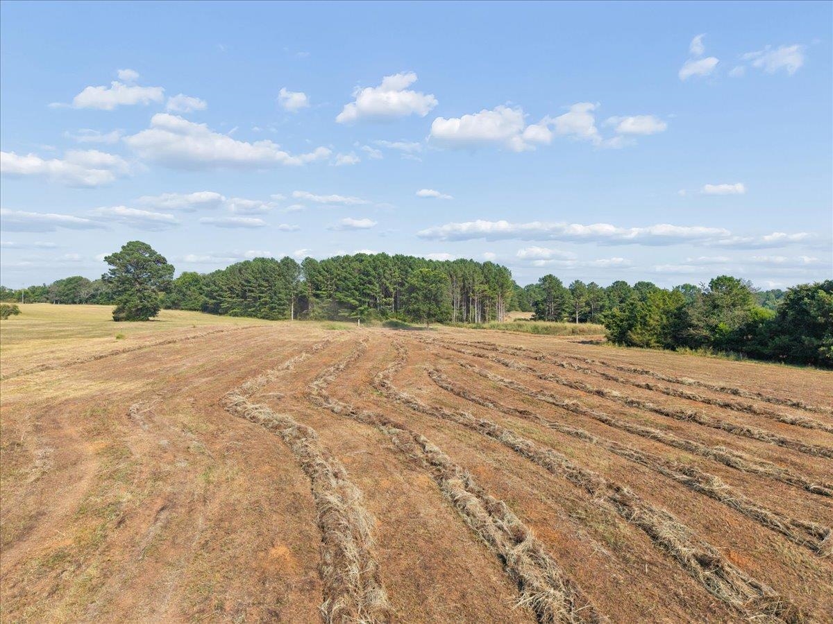 13.51 Acres Fieldcrest Lane Property Photo 19
