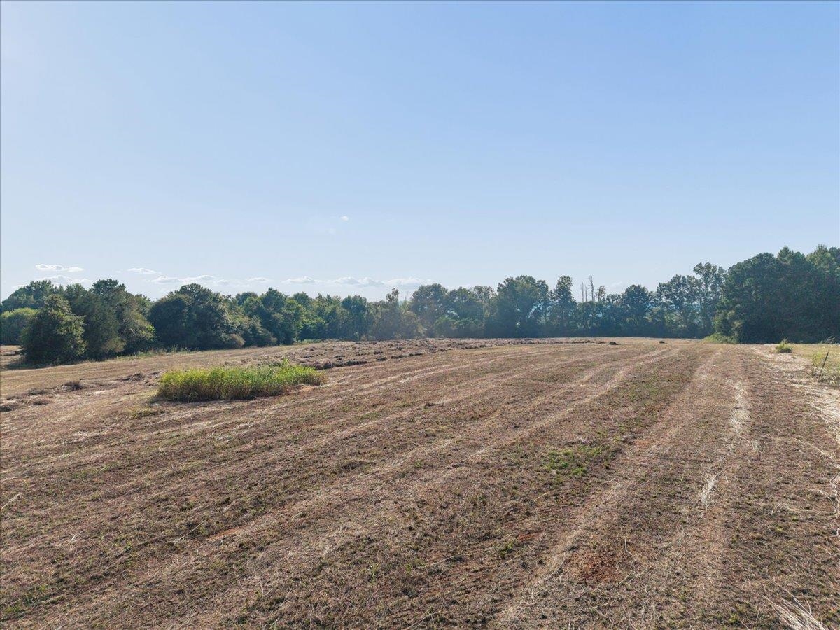 13.51 Acres Fieldcrest Lane Property Photo 21