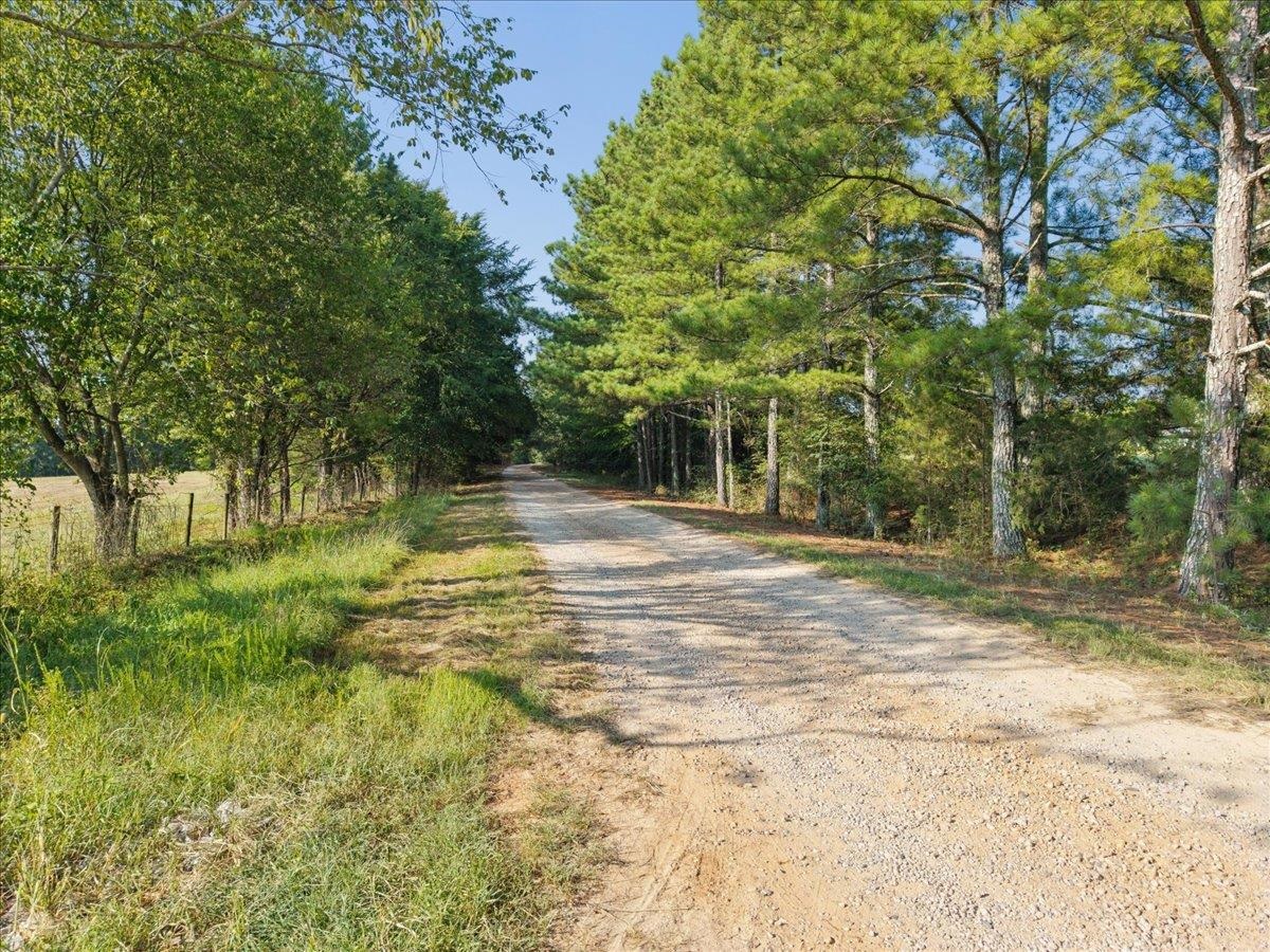 13.51 Acres Fieldcrest Lane Property Photo 23