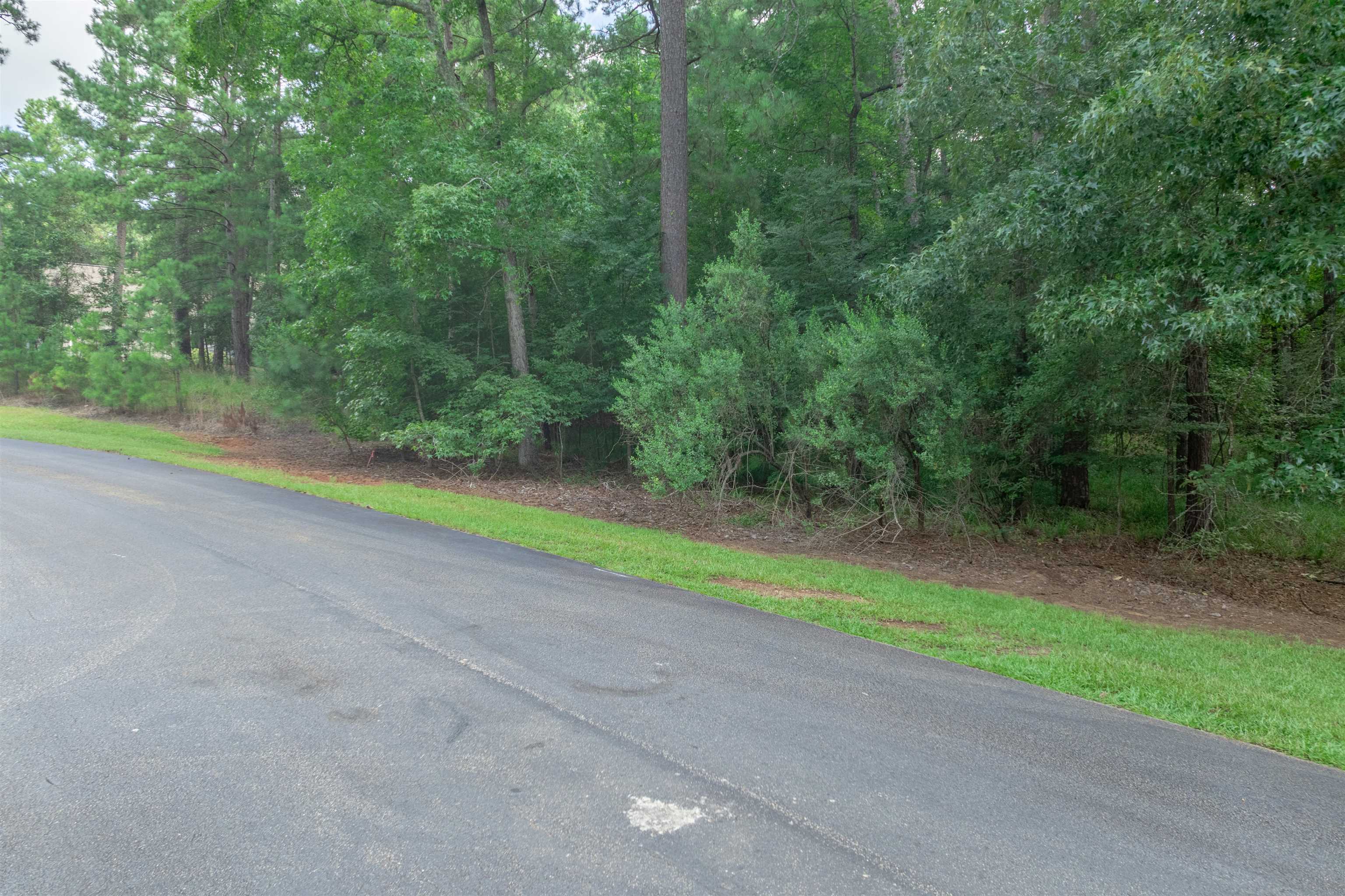 1040 Centennial Post # 20 Property Photo 2