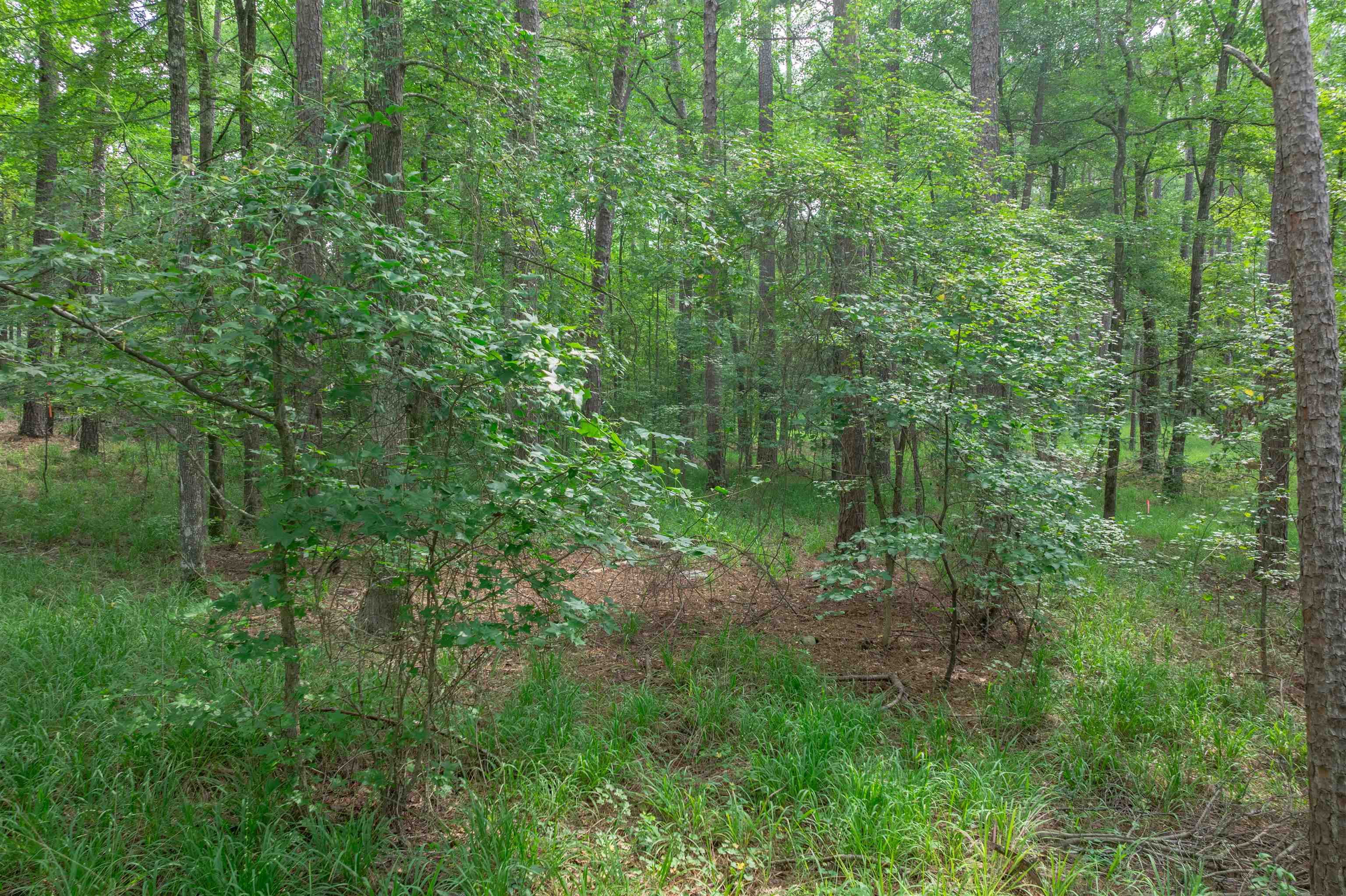 1040 Centennial Post # 20 Property Photo 4