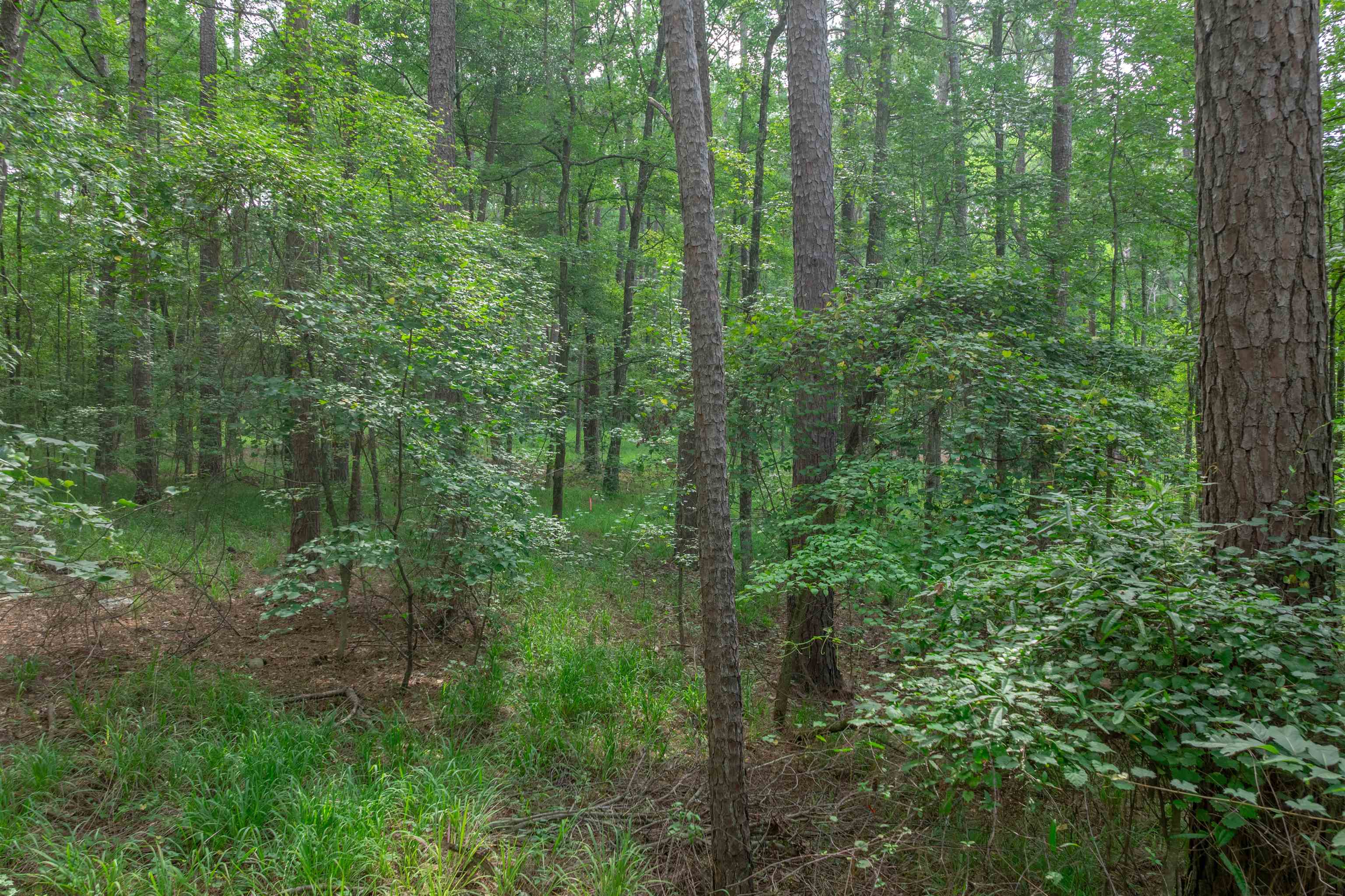 1040 Centennial Post # 20 Property Photo 5