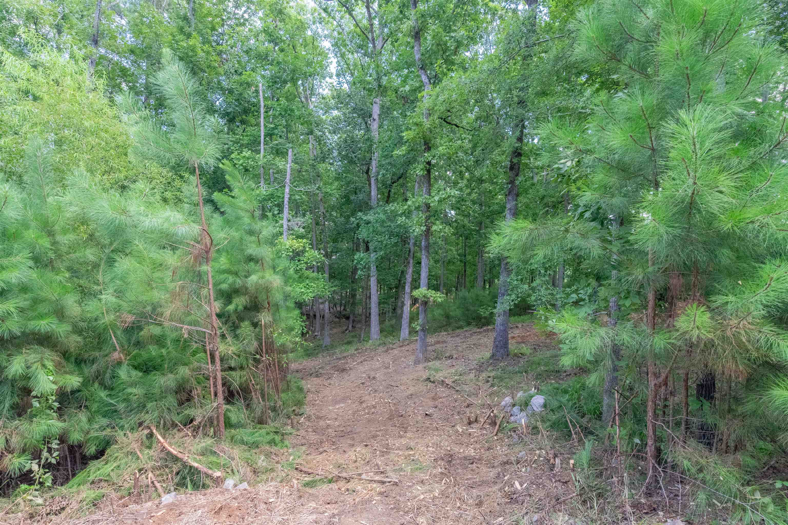 1090 Lumbering Creek # 138 Property Photo 6