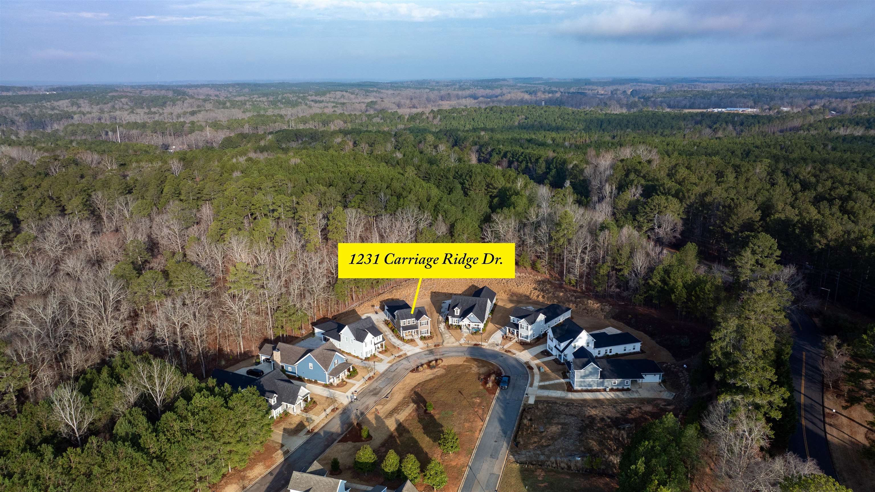 1231 Carriage Ridge Drive Property Photo 23