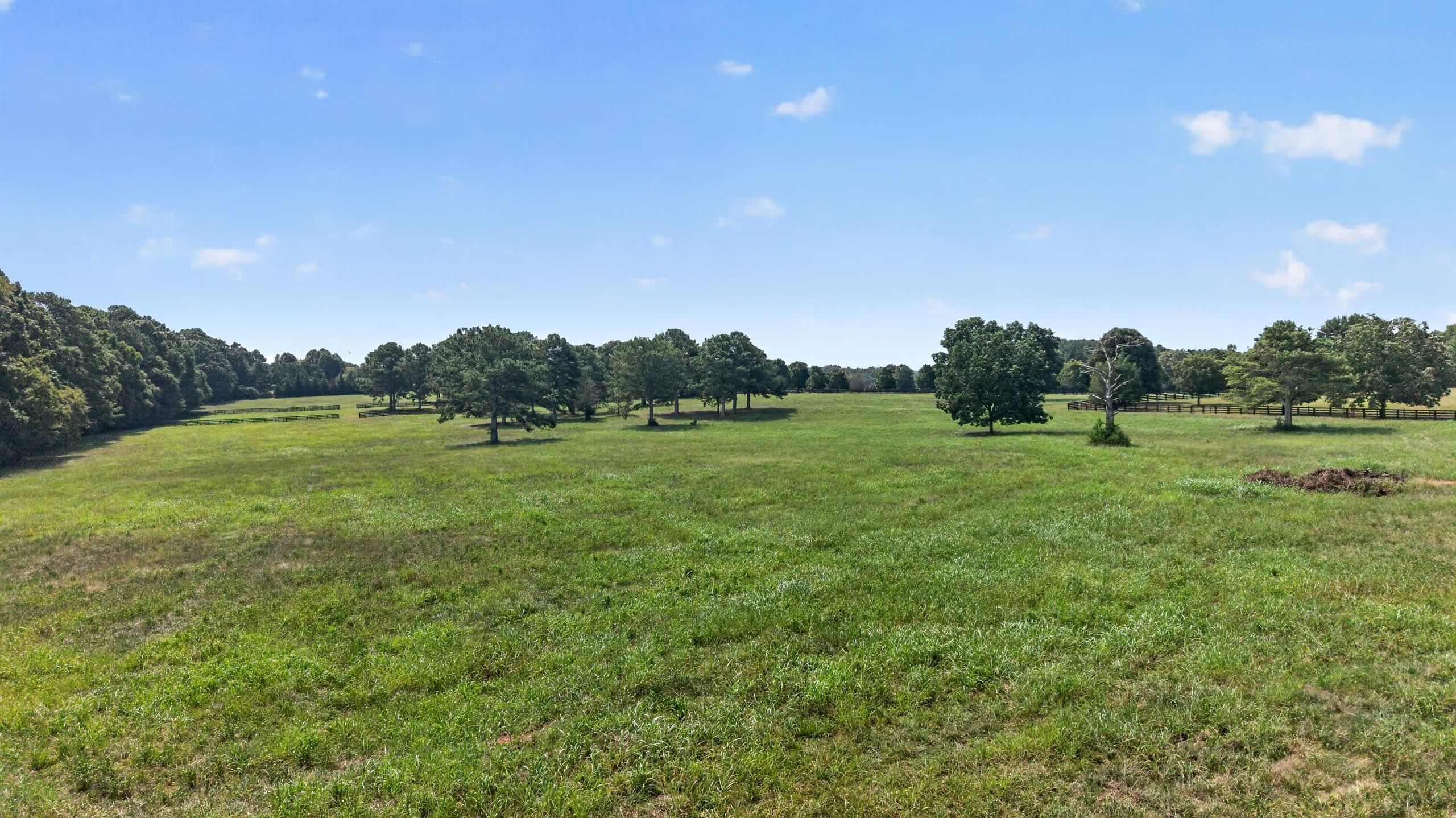 5231 Sandy Creek Road Property Photo 57