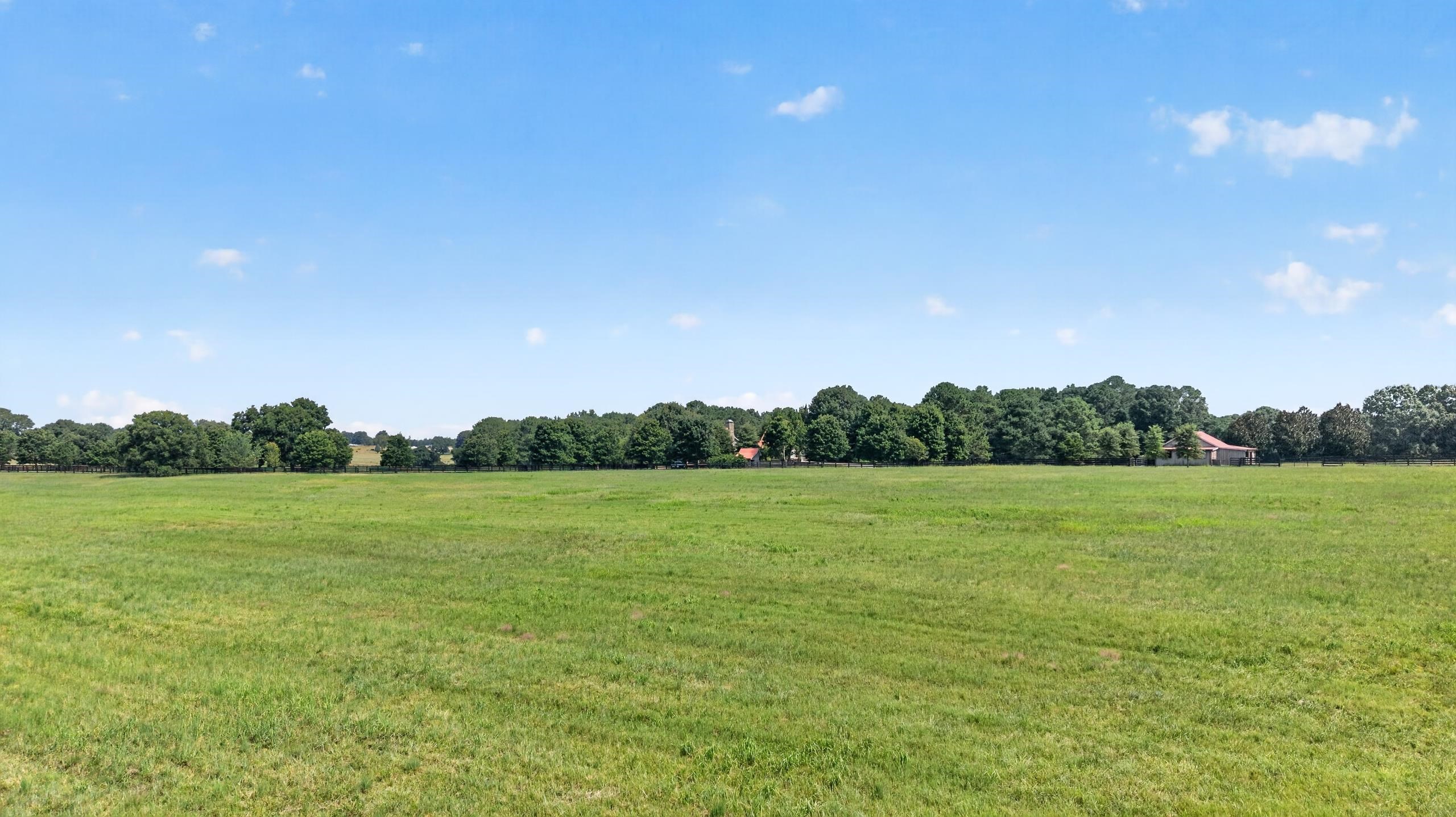 5231 Sandy Creek Road Property Photo 58
