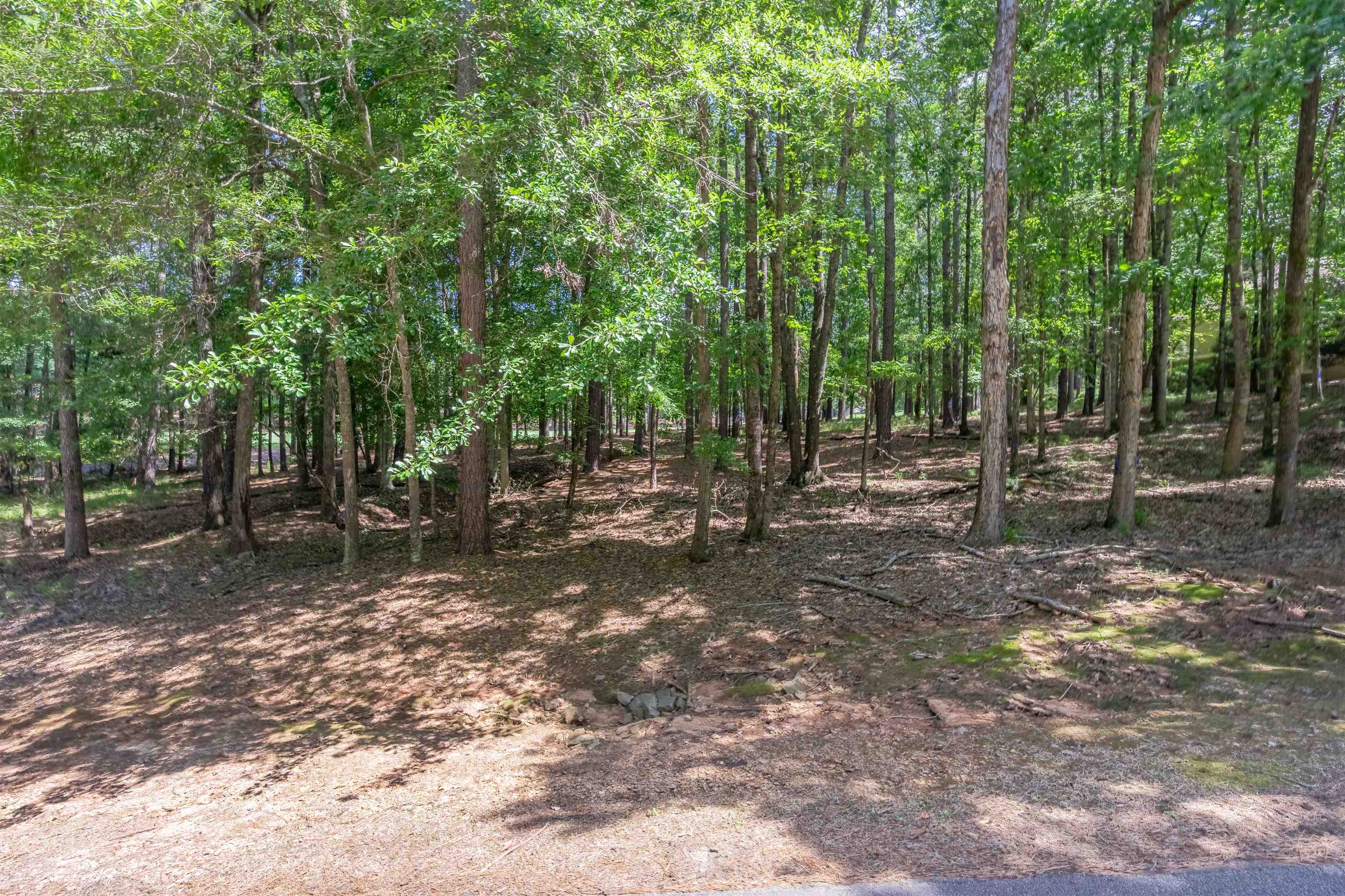 2721 Parrotts Pointe Road # 119 Property Photo 3