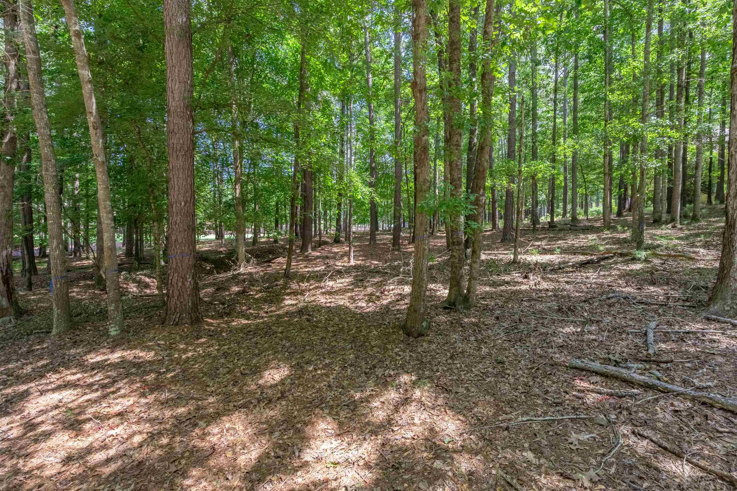 2721 Parrotts Pointe Road # 119 Property Photo 5