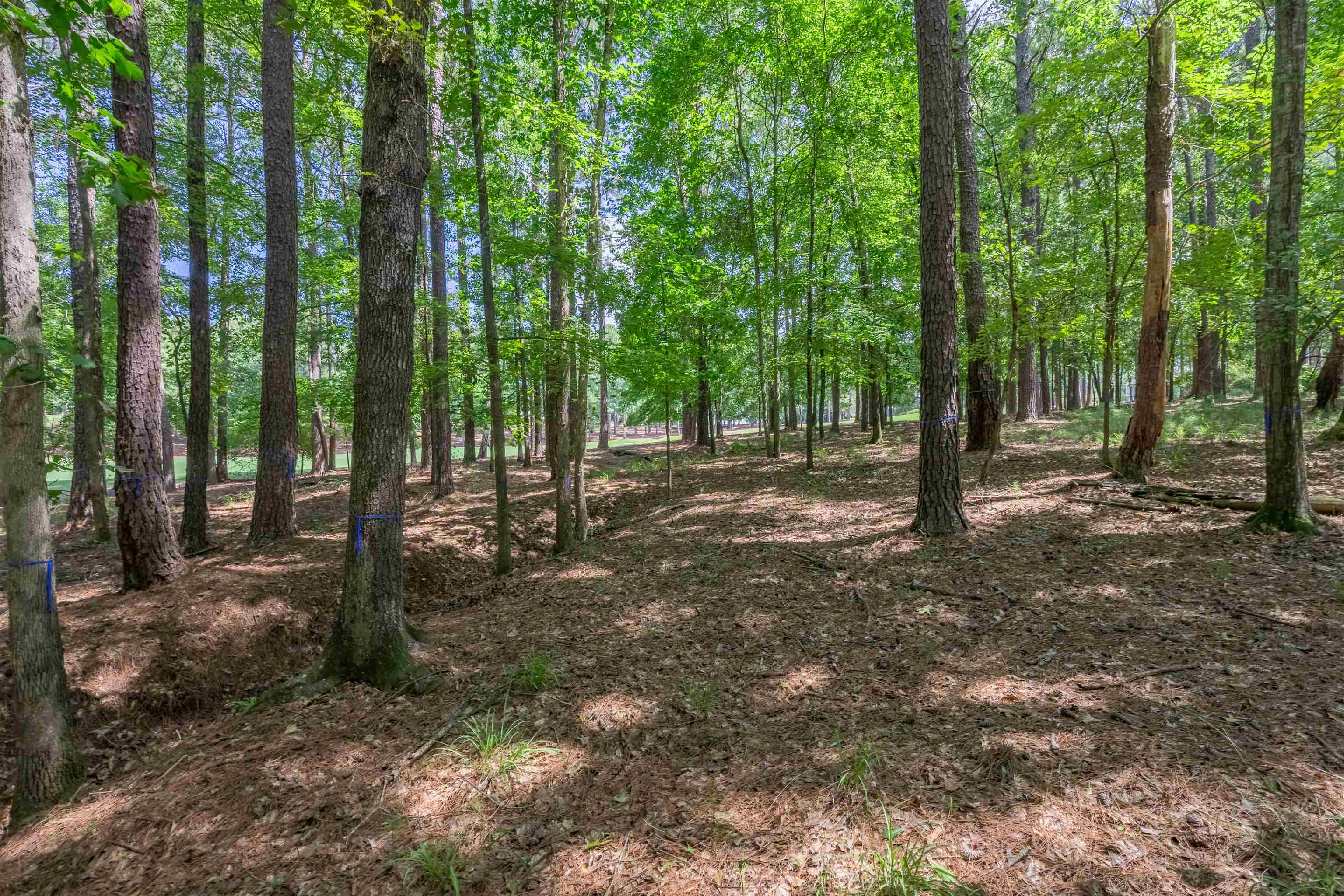 2721 Parrotts Pointe Road # 119 Property Photo 6