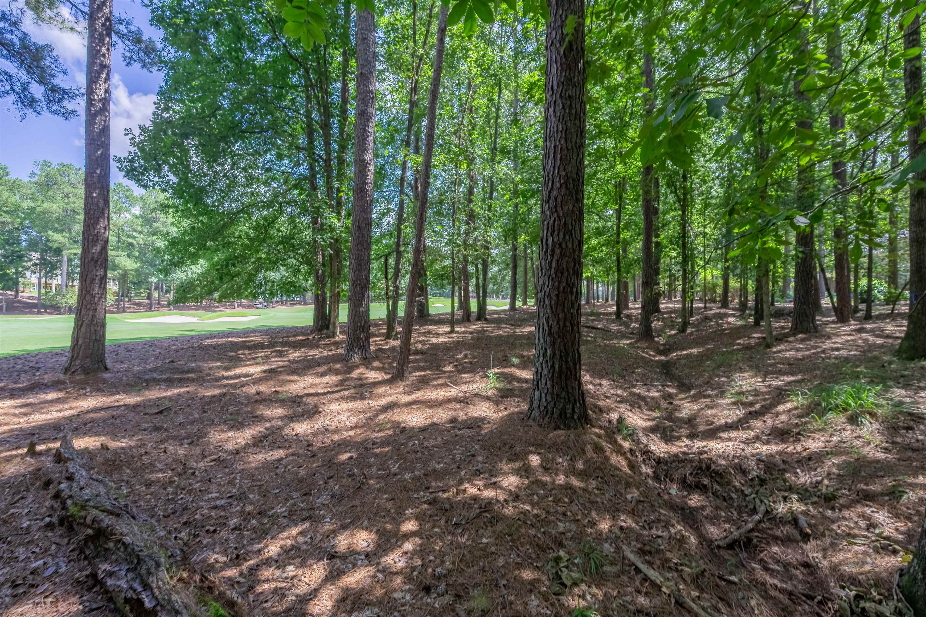 2721 Parrotts Pointe Road # 119 Property Photo 11