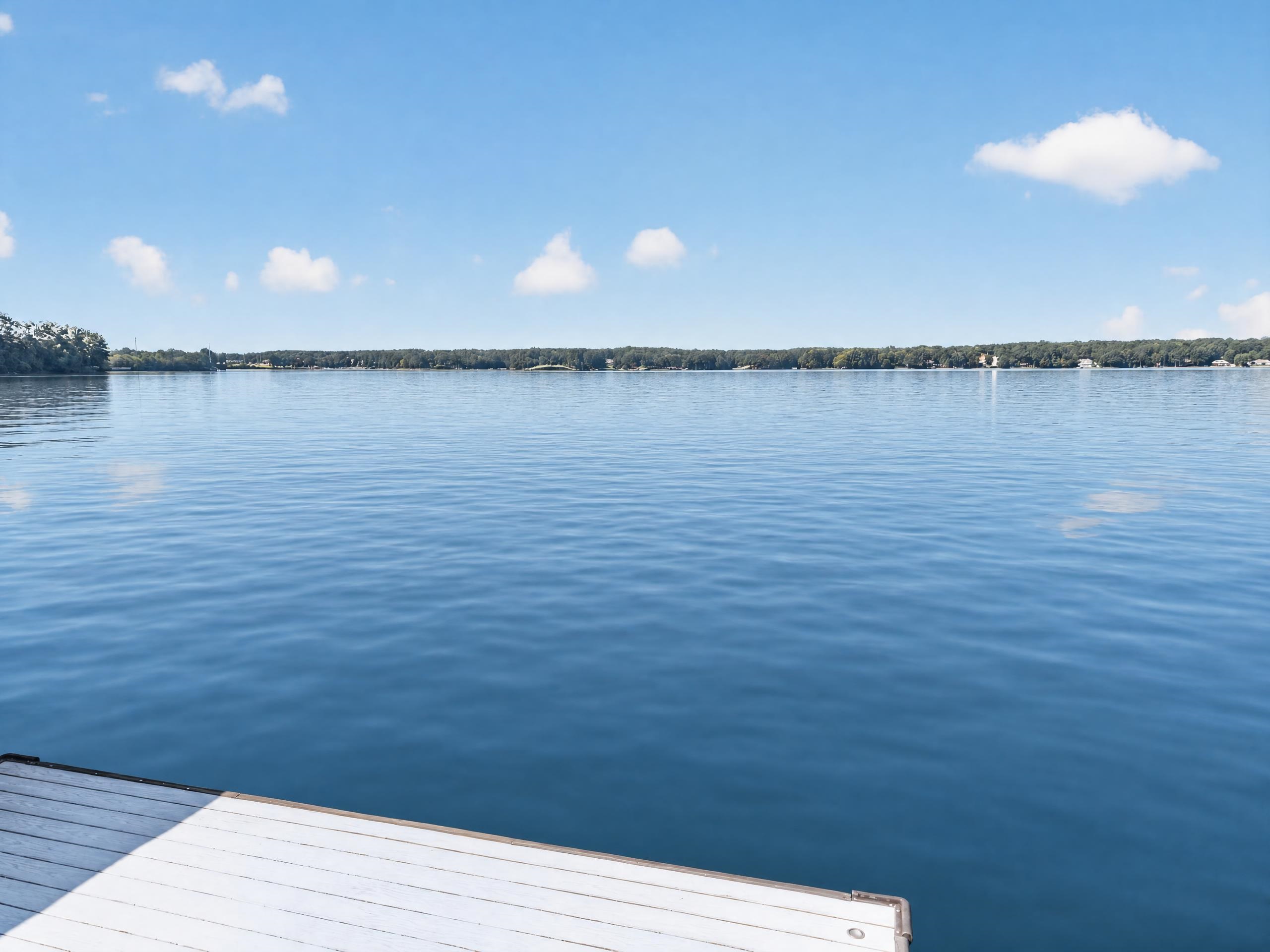 1131 Kingfisher Point Property Photo 9