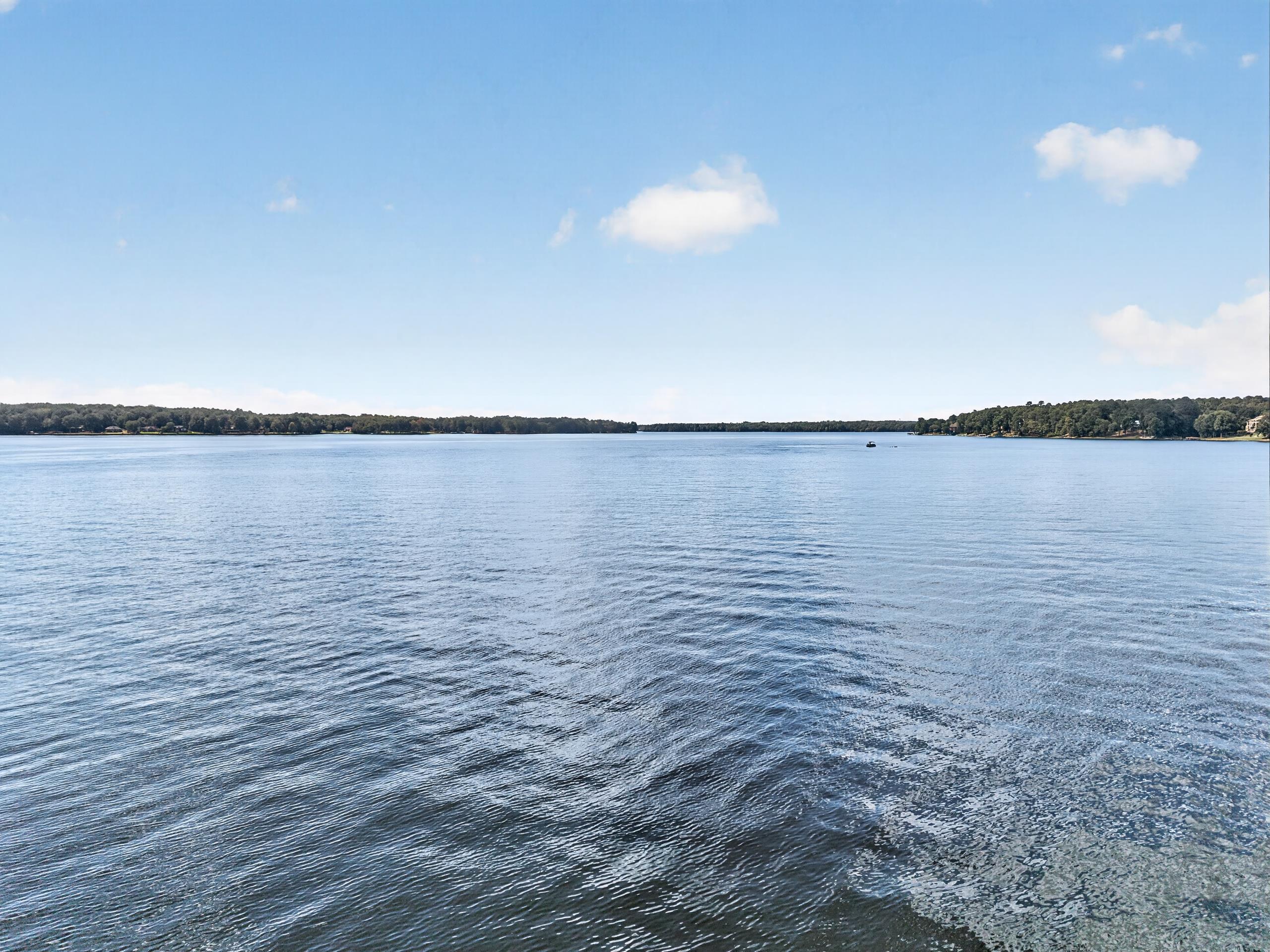 1131 Kingfisher Point Property Photo 73
