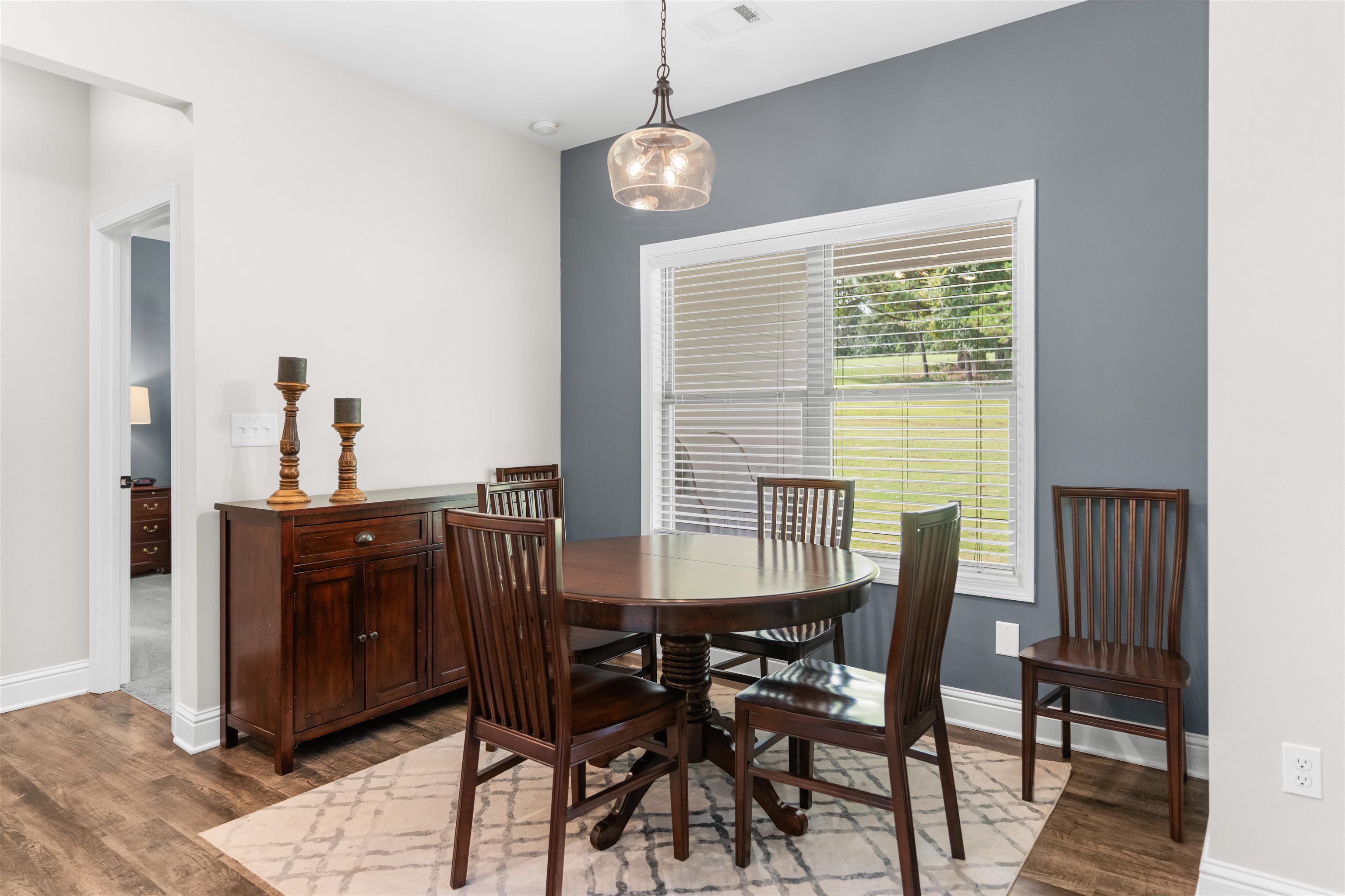 116 Alexander Lakes Drive Property Photo 20