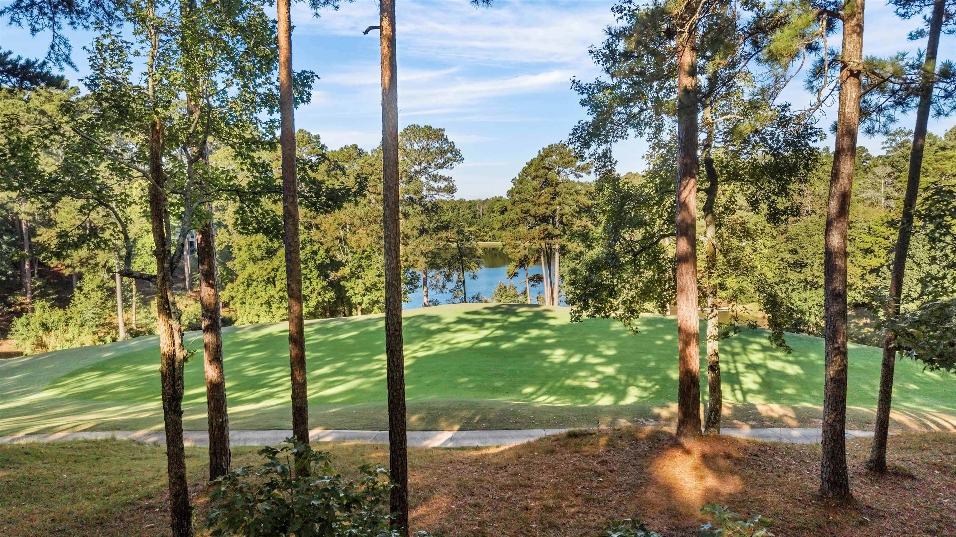 1181 Shoulderbone Circle Property Photo 2