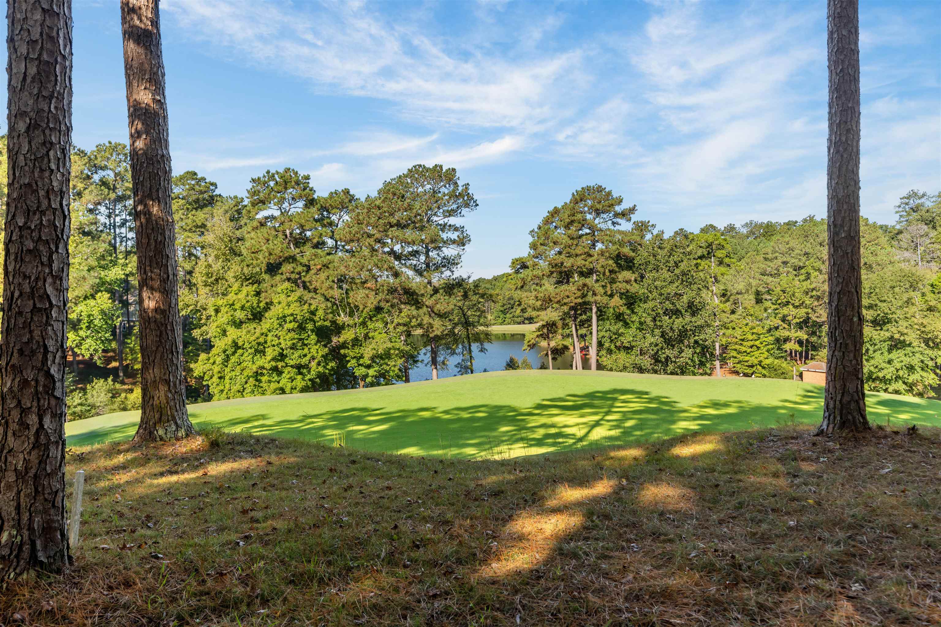 1181 Shoulderbone Circle Property Photo 51