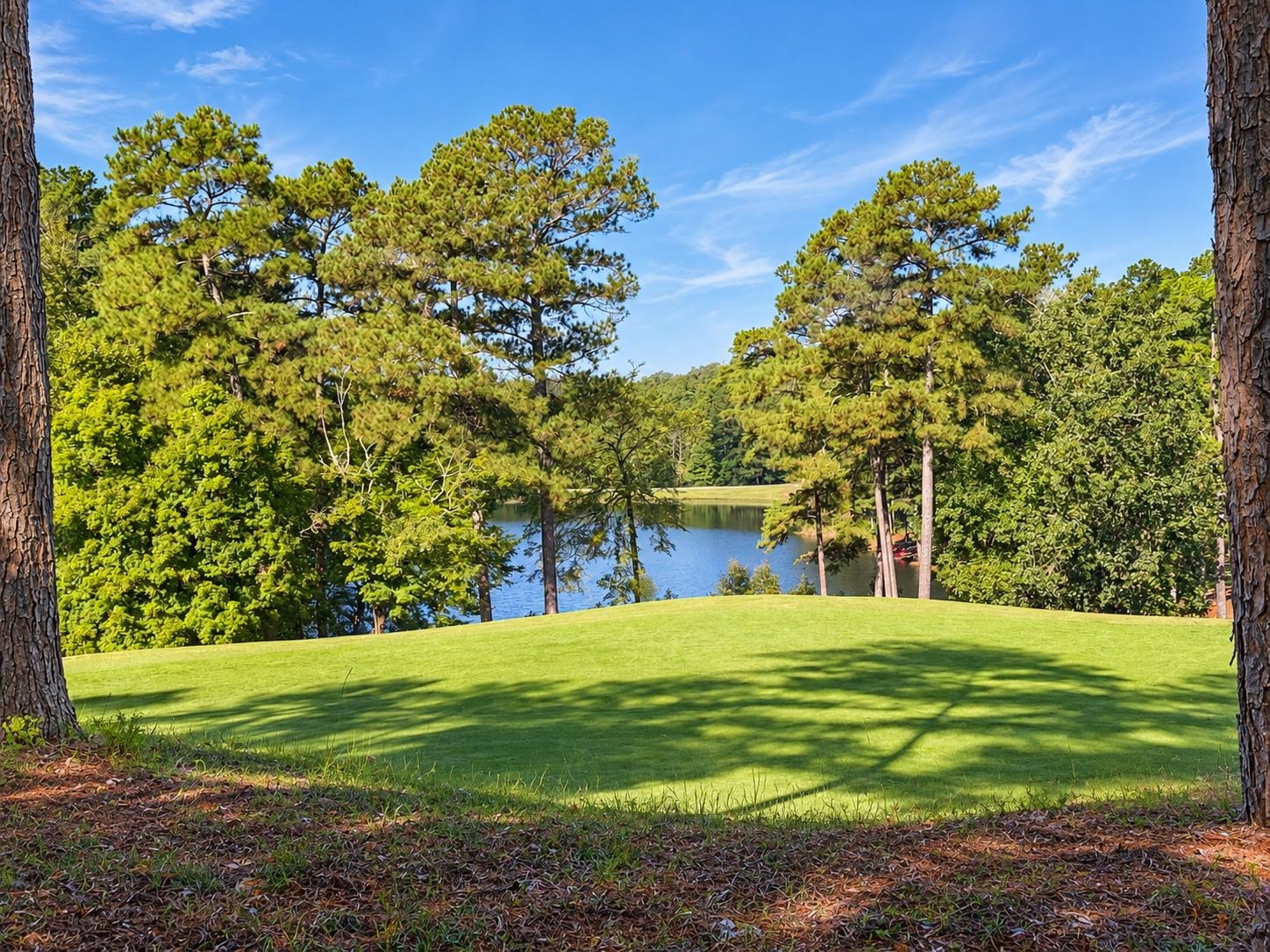 1181 Shoulderbone Circle Property Photo 52
