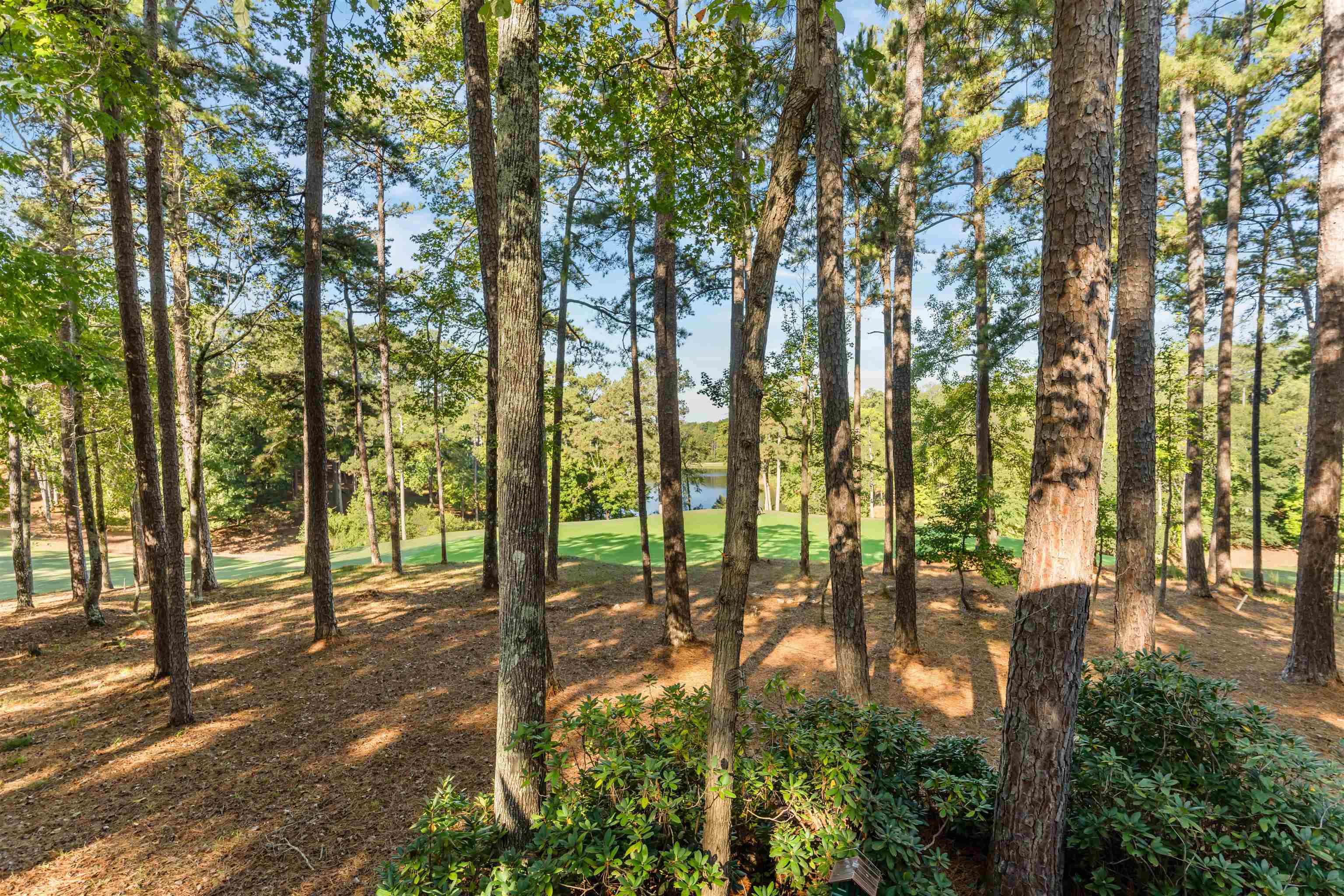 1181 Shoulderbone Circle Property Photo 66