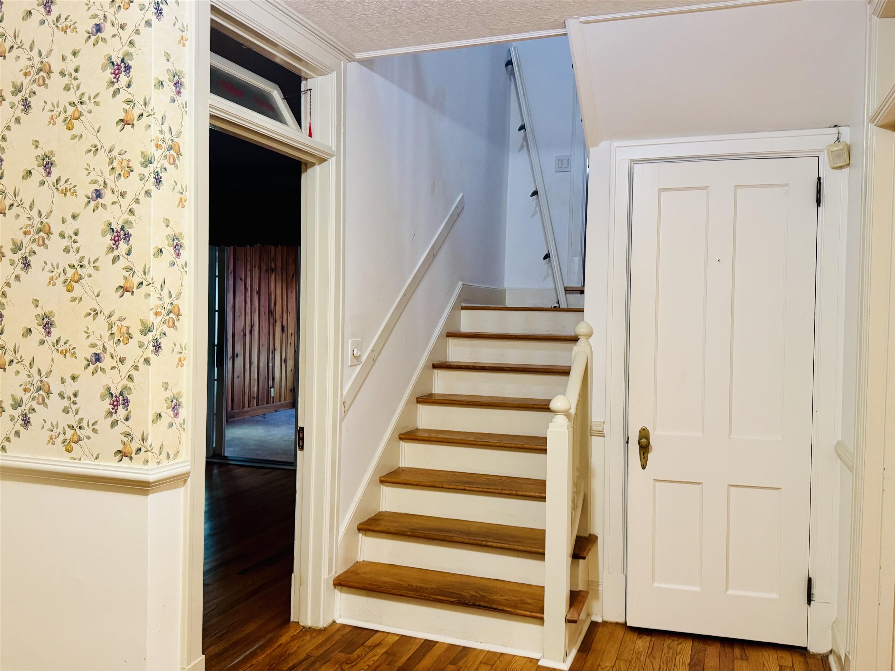 803 Dolvin Avenue Property Photo 26