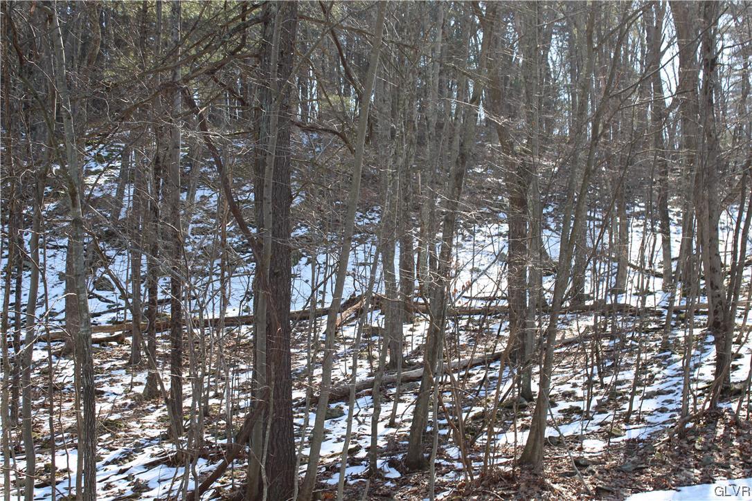 Deer Path 21