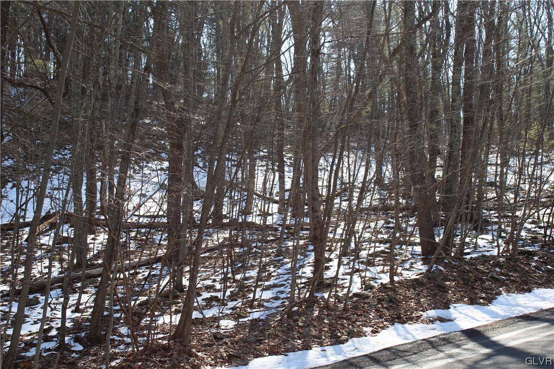 Deer Path 21 Property Photo 2