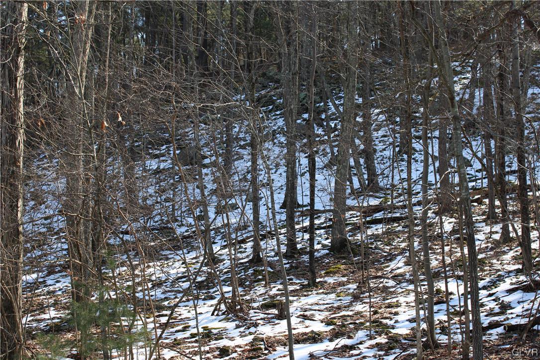 Deer Path 21 Property Photo 3