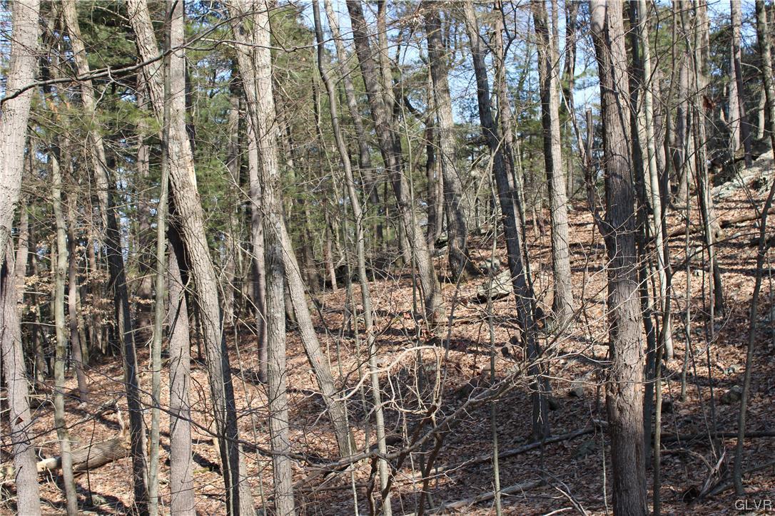 Deer Path 21 Property Photo 4