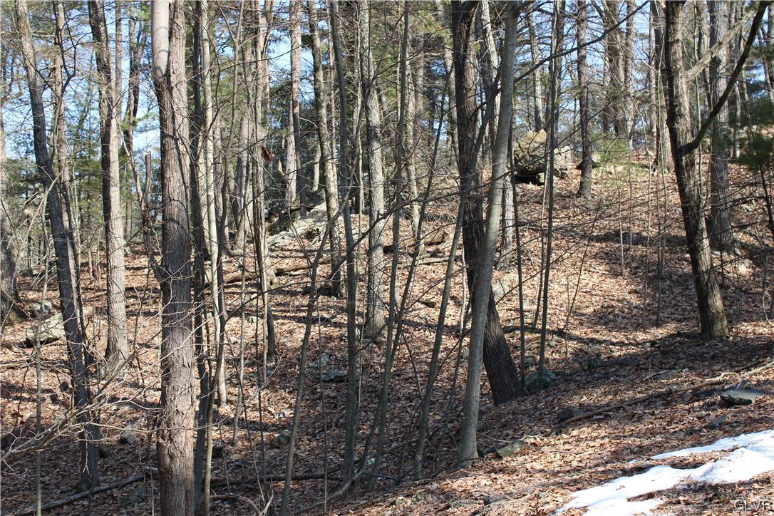 Deer Path 21 Property Photo 5