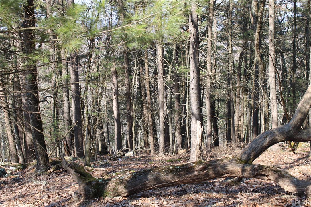 Deer Path 21 Property Photo 6