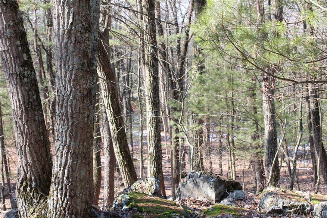 Deer Path 21 Property Photo 7