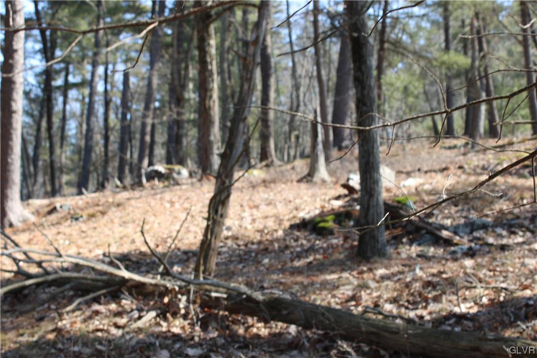 Deer Path 21 Property Photo 9