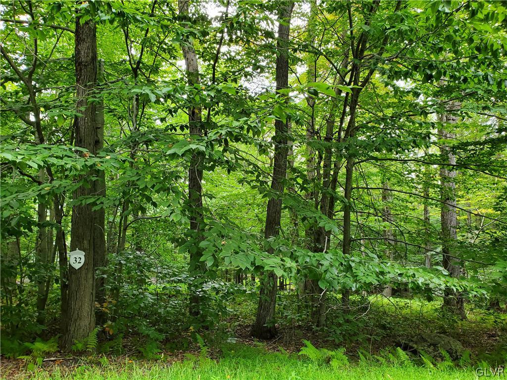 32 Tall Oak Drive Lot 32 Property Photo 1