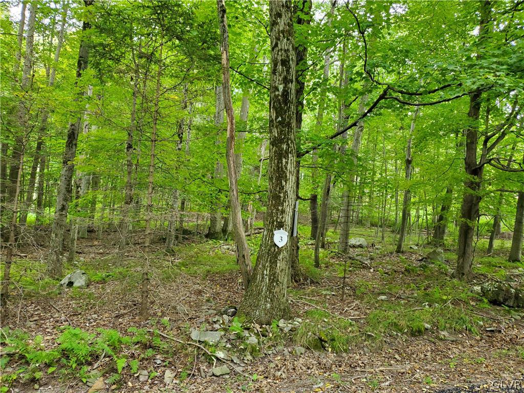3 Tall Oak Lot 3 Property Photo 1