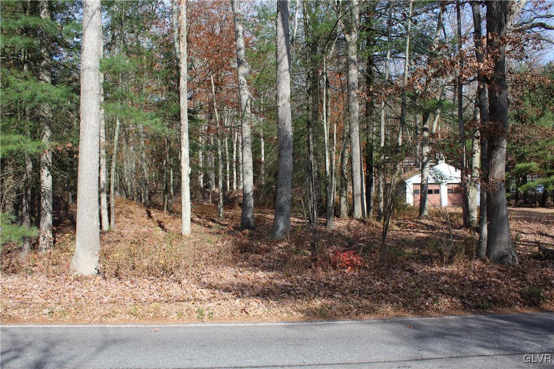 Buck Mountain Road